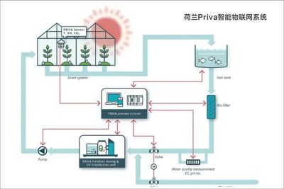 浙江“新田铺”智慧农业蔬果工厂 正式投产运行